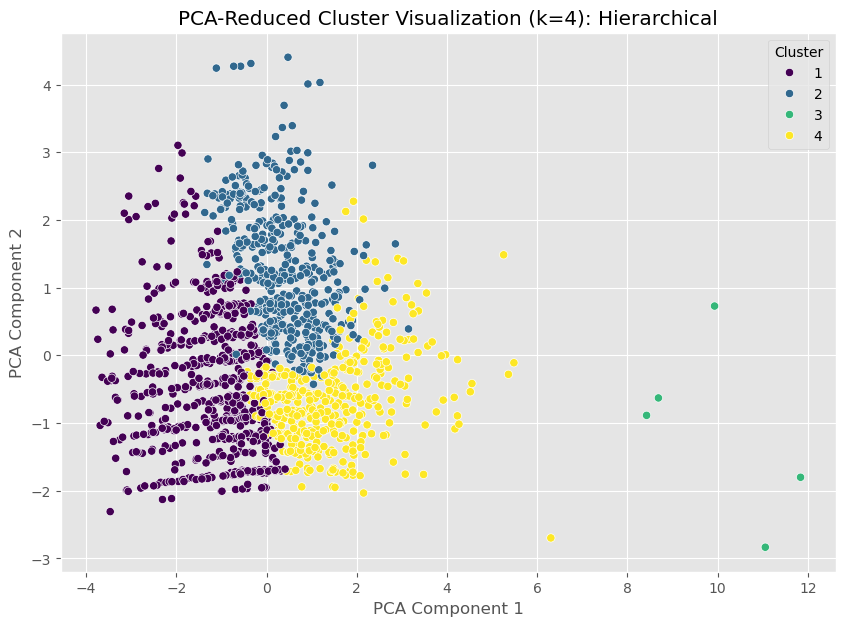 Hierarchical Cluster Visualization